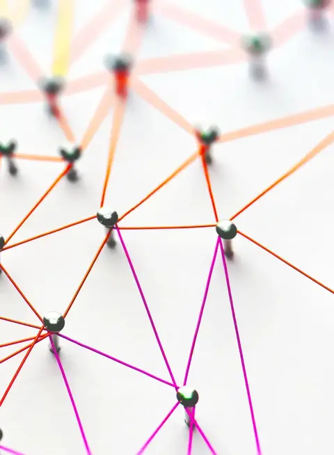 a group of pins connected to each other