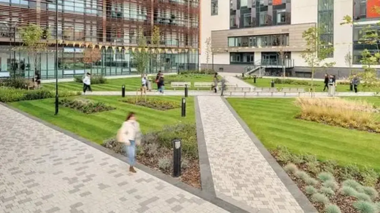 a group of people walking in a park