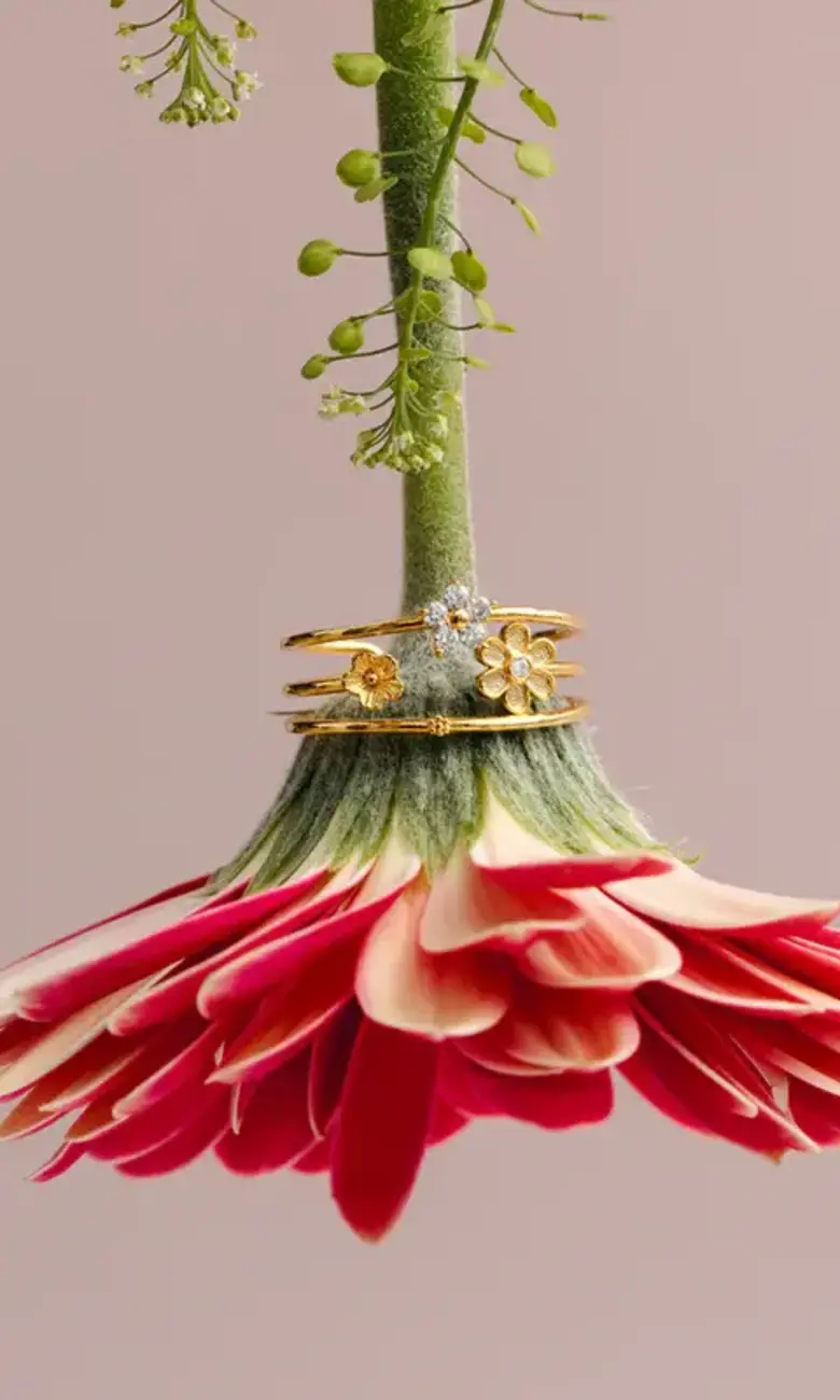 gold ring on the stem of a pink flower 