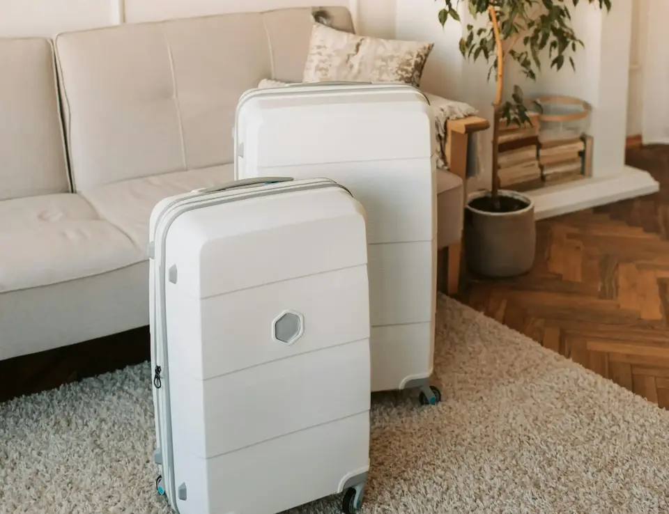 luggage in a room with a couch and a plant