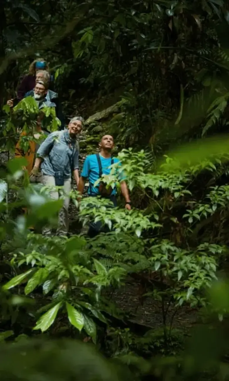 a group of people in the jungle