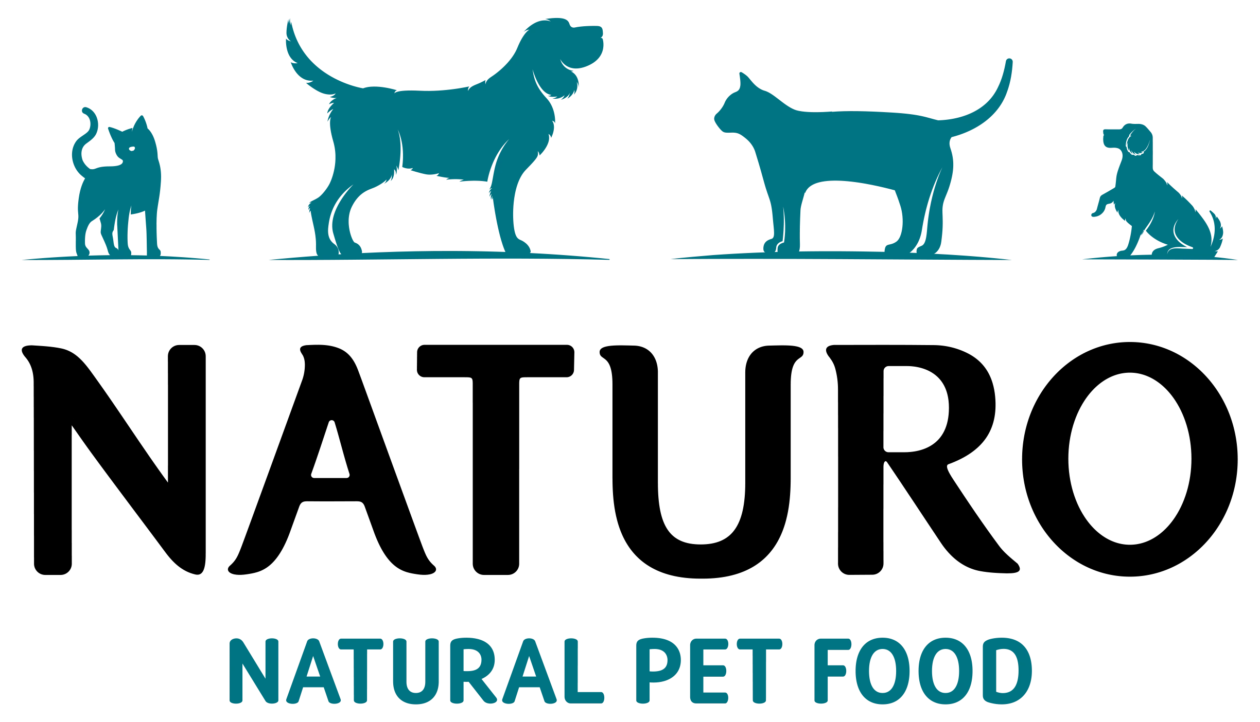 color Naturo logo