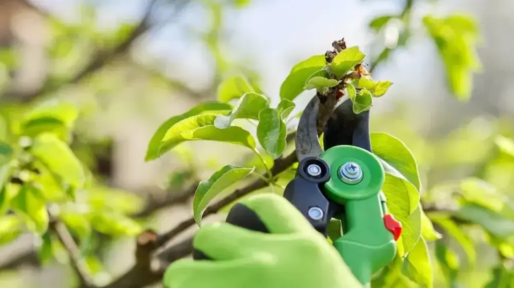 a person wearing green gloves cutting a tree branch