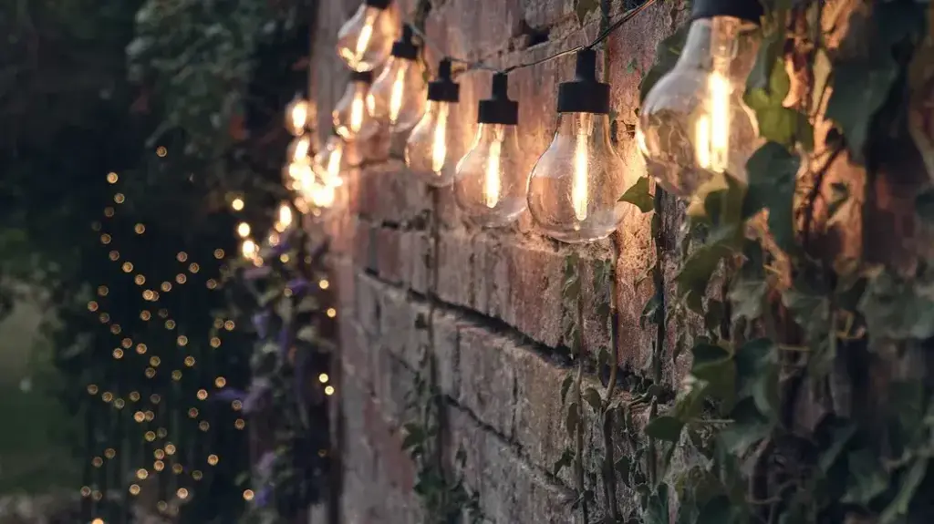 Festoon bulb lights hanging on a garden wall