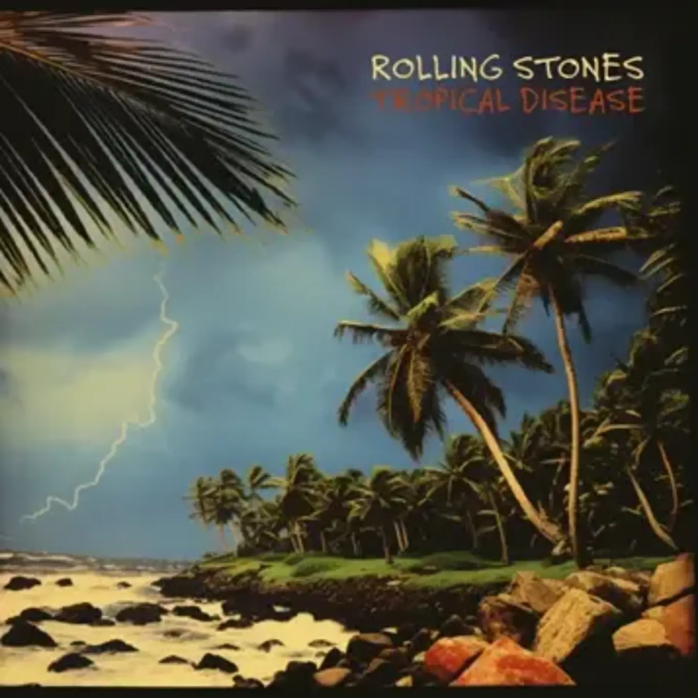 a rock beach with palm trees and lightning